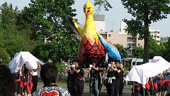 crazy bird, from the art department dance